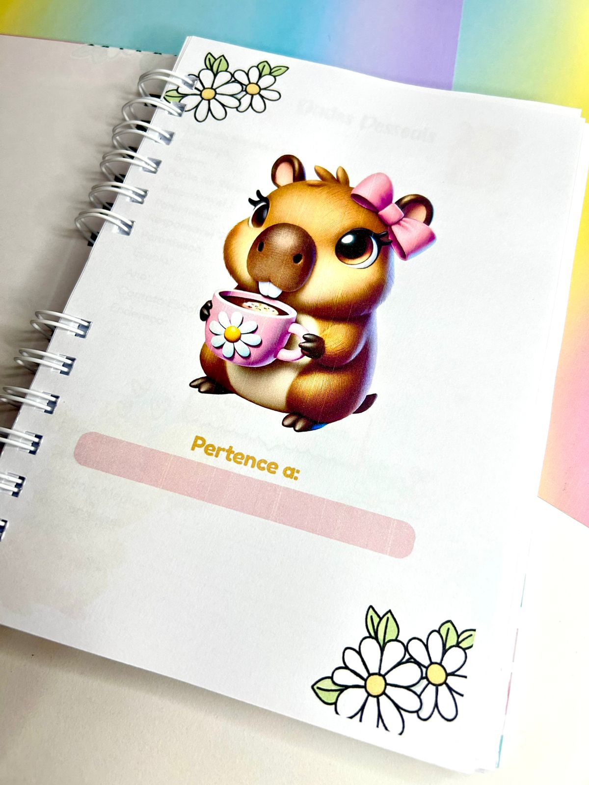 Agenda calendário 2026 - Espiral Tamanho A5 - Personagens variados